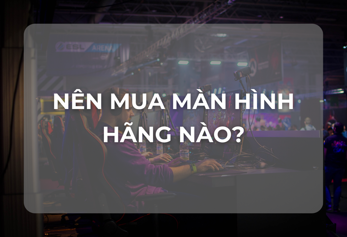 Nên Mua Màn Hình Hãng Nào? Đánh Giá Chi Tiết Các Thương Hiệu Hàng Đầu